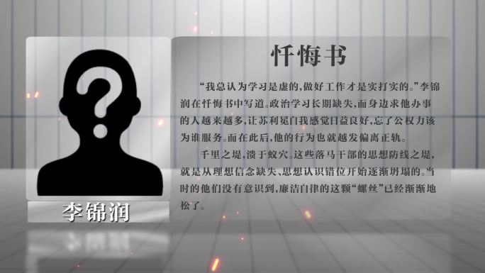 反腐嫌疑人忏悔书