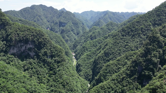 大自然深山山谷湖北神农架神农谷