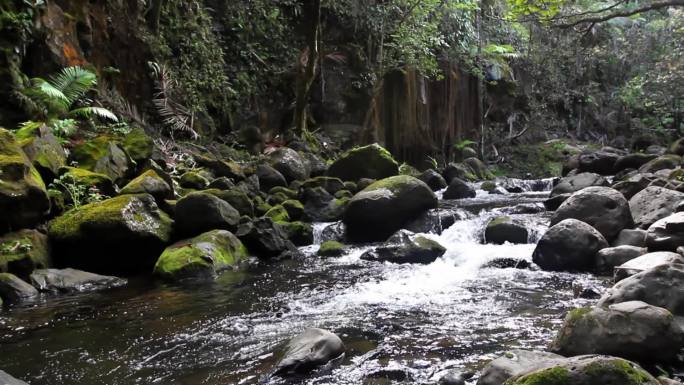 夏威夷雨林中一条被长满苔藓的巨石环绕的河流
