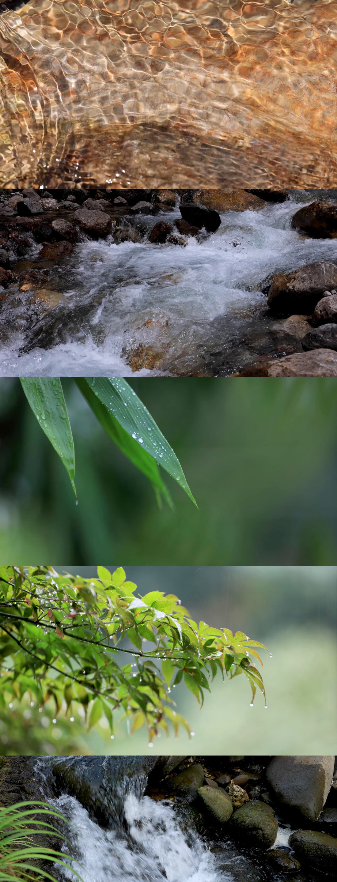 云海 翠绿湖水 阳光 树叶 流水 下雨