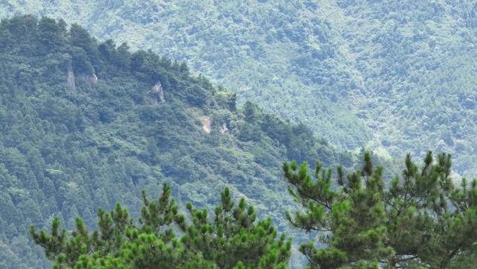 4k南岳衡山 福严寺航拍