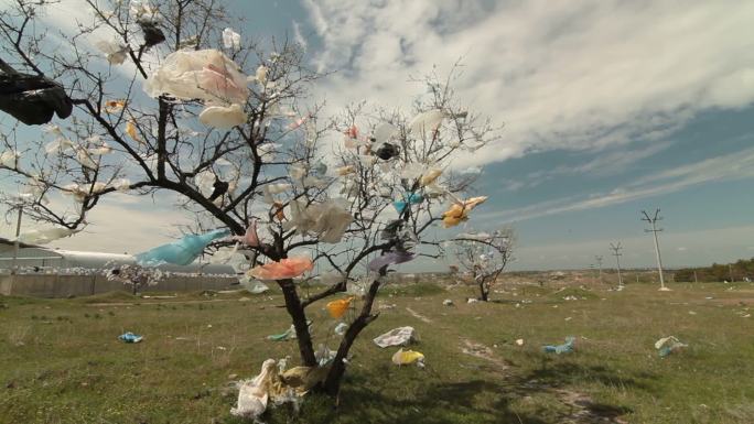 垃圾填埋场附近有树覆盖的塑料袋