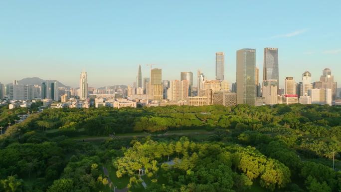 2022航拍绿色深圳中心公园