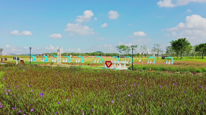 东莞滨海湾花海里花海低飞前进