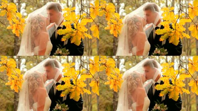 新娘和新郎在秋天公园接吻