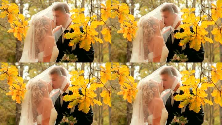 新娘和新郎在秋天公园接吻