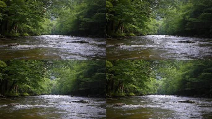 风景河流穿过烟雾缭绕的山林，从河中央的水上拍摄