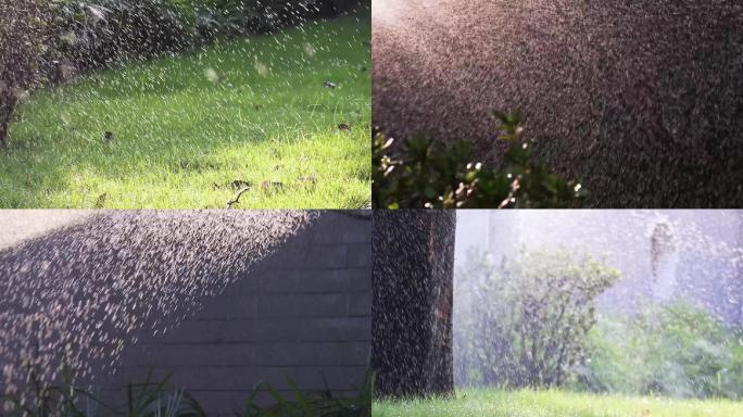 公园古墙草地小雨