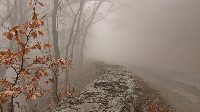 克里米亚通往雾的山路。