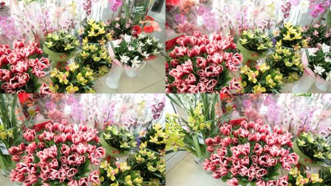 花店里新鲜的郁金香和兰花，潘拍摄