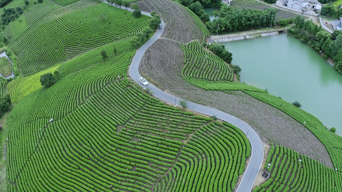 茶园梯田间的乡村小路