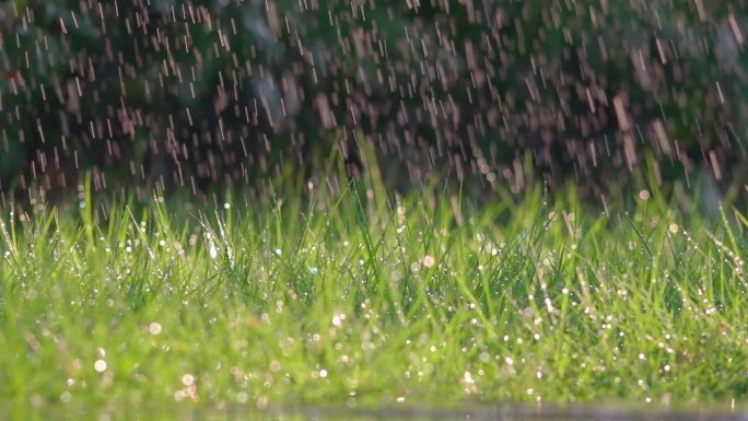 梦幻雨滴，童话雨雾下雨