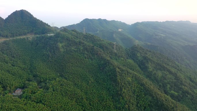 航拍永川茶山竹海日落