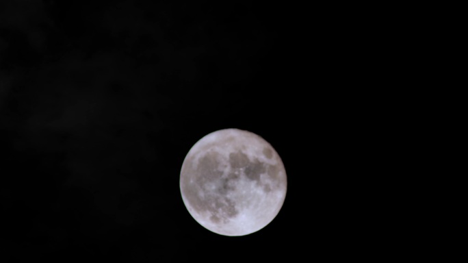 白月光，月亮
