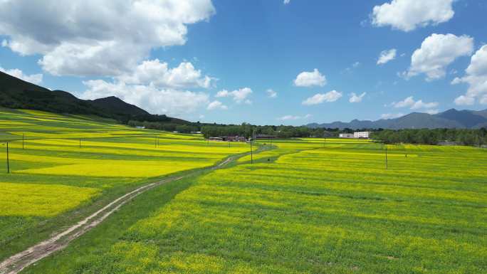 化隆 山水化隆 乡村振兴 最美乡村