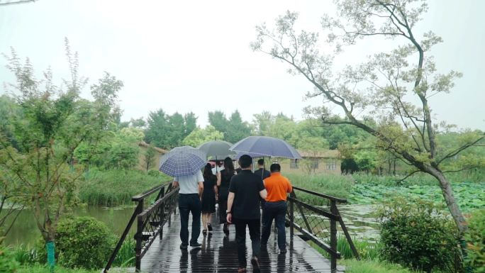 雨天打伞游玩的人群