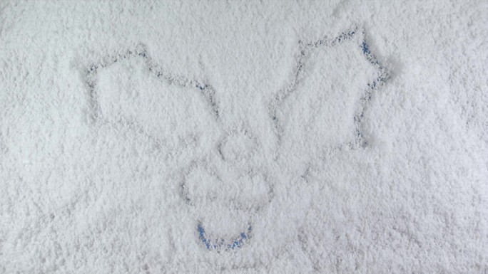 用哑光画在雪背景上的槲寄生