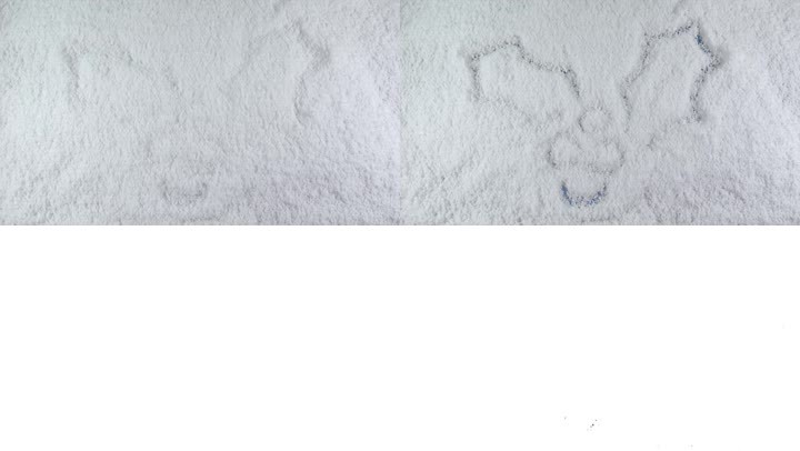 用哑光画在雪背景上的槲寄生
