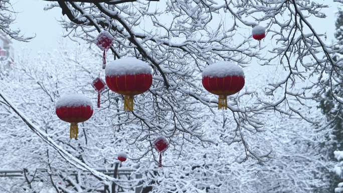 【4K原创】被雪覆盖的树枝红色节日灯笼