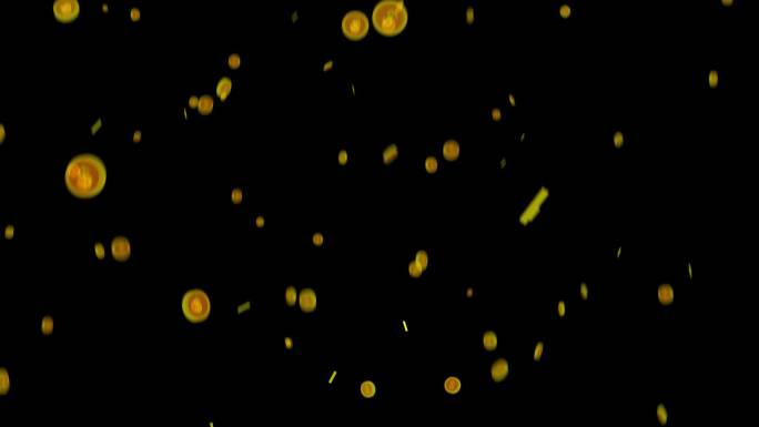 金币通道素材-游戏金币2爆炸落下堆积