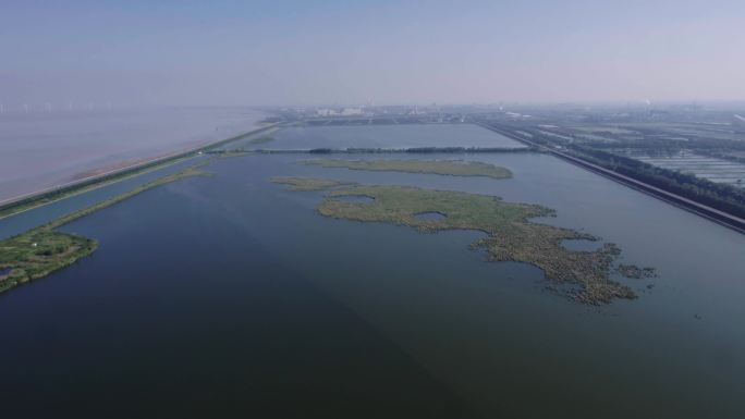 杭州钱塘区临江湿地公园