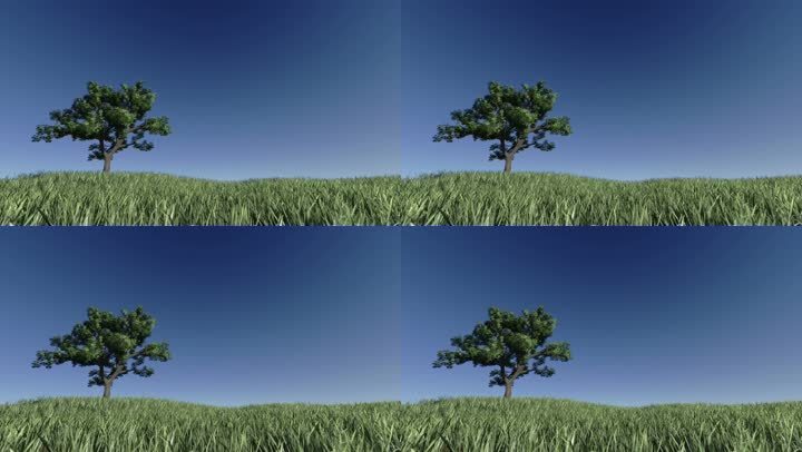碧蓝的天空衬托下，绿草地上孤零零的一棵树