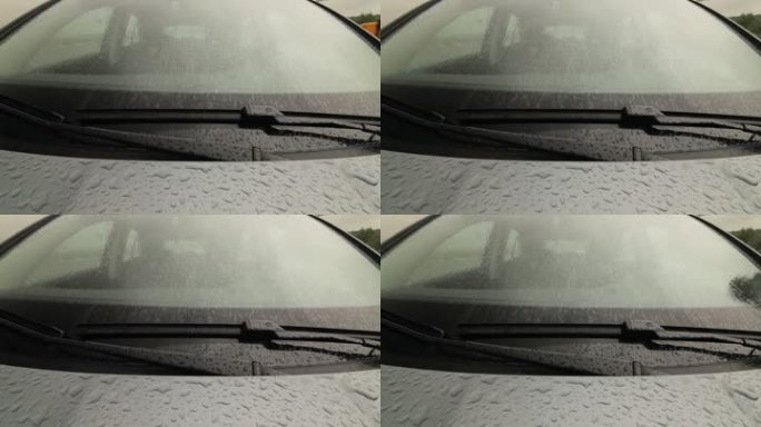 司机在雨中进入车厢