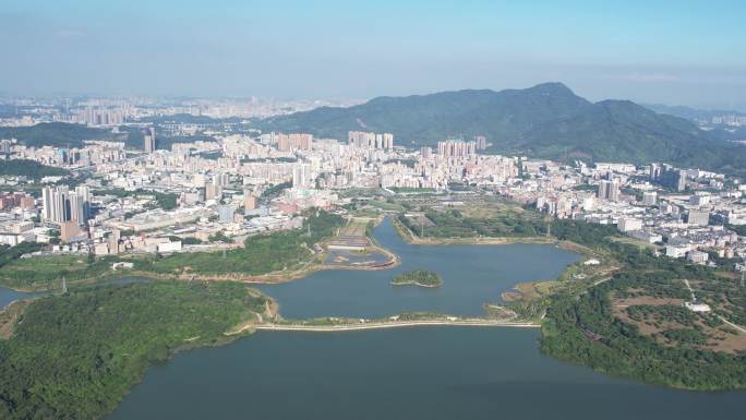 【正版素材】深圳宝安石岩湖和石岩街道全景