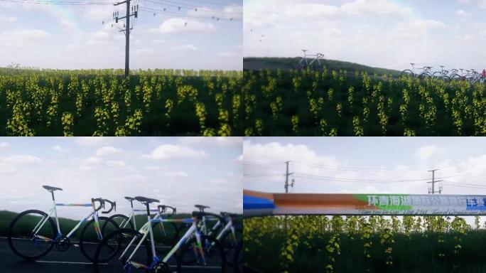 环湖赛油菜花自行车3d视频