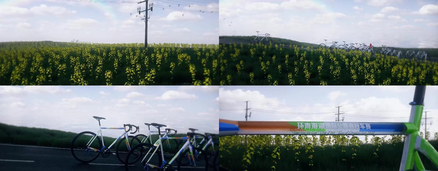 环湖赛油菜花自行车3d视频