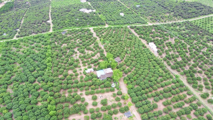 航拍山林风景