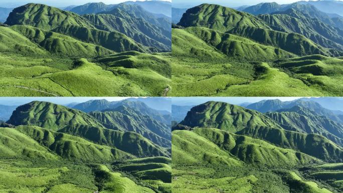 武功山夏天高山草甸
