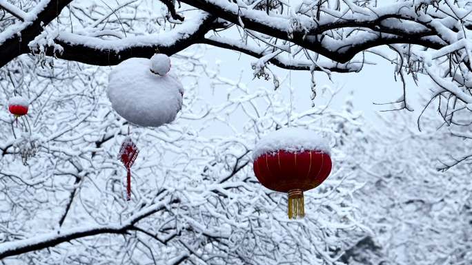 【4K原创】被雪覆盖的树枝红色节日灯笼
