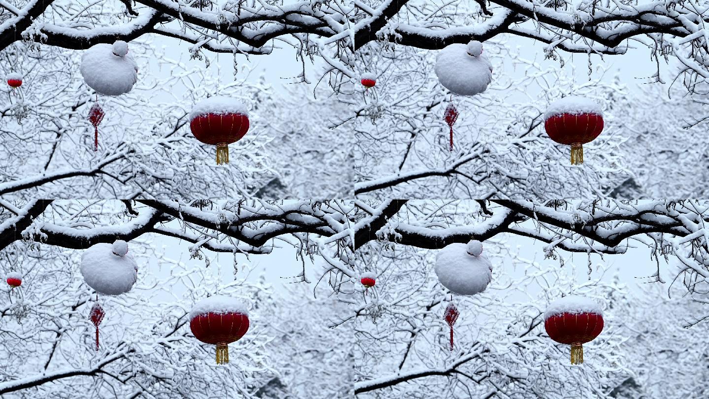 【4K原创】被雪覆盖的树枝红色节日灯笼