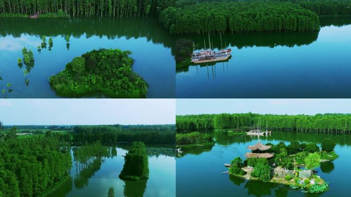 4K航拍江南水乡 湿地