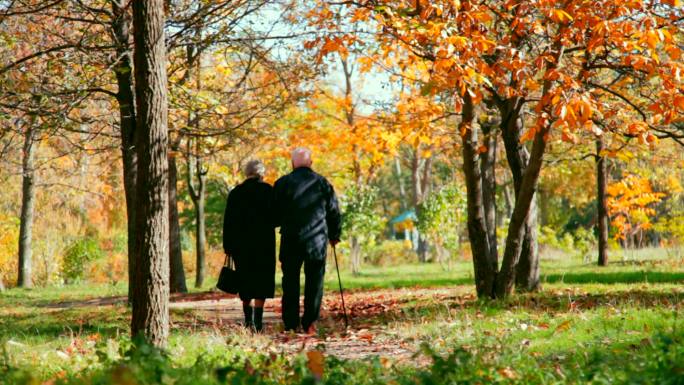 老年夫妇手挽手在秋季公园散步