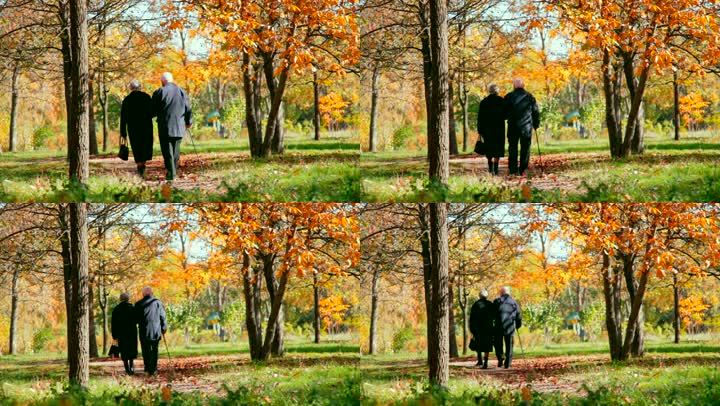 老年夫妇手挽手在秋季公园散步