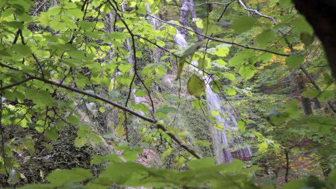 克里米亚的银溪瀑布。