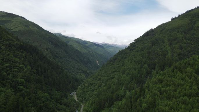 夹金山脚看巴朗山