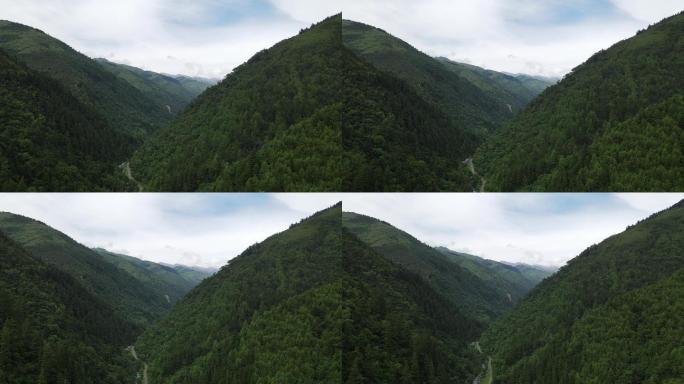 夹金山脚看巴朗山