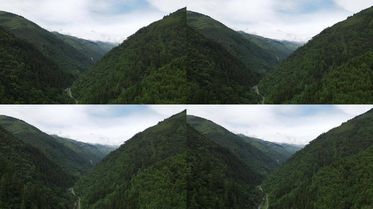 夹金山脚看巴朗山