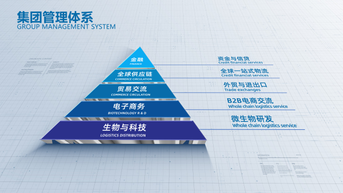 金字塔企业分类