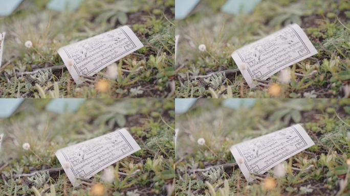 【4K正版】草原上散落的风马纸 01