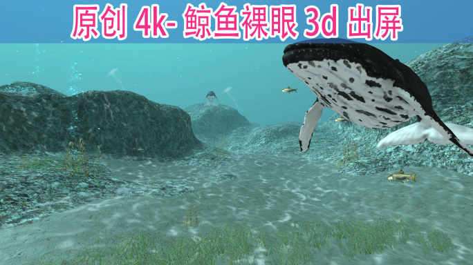 鲸鱼 鲲 裸眼3D出屏动画