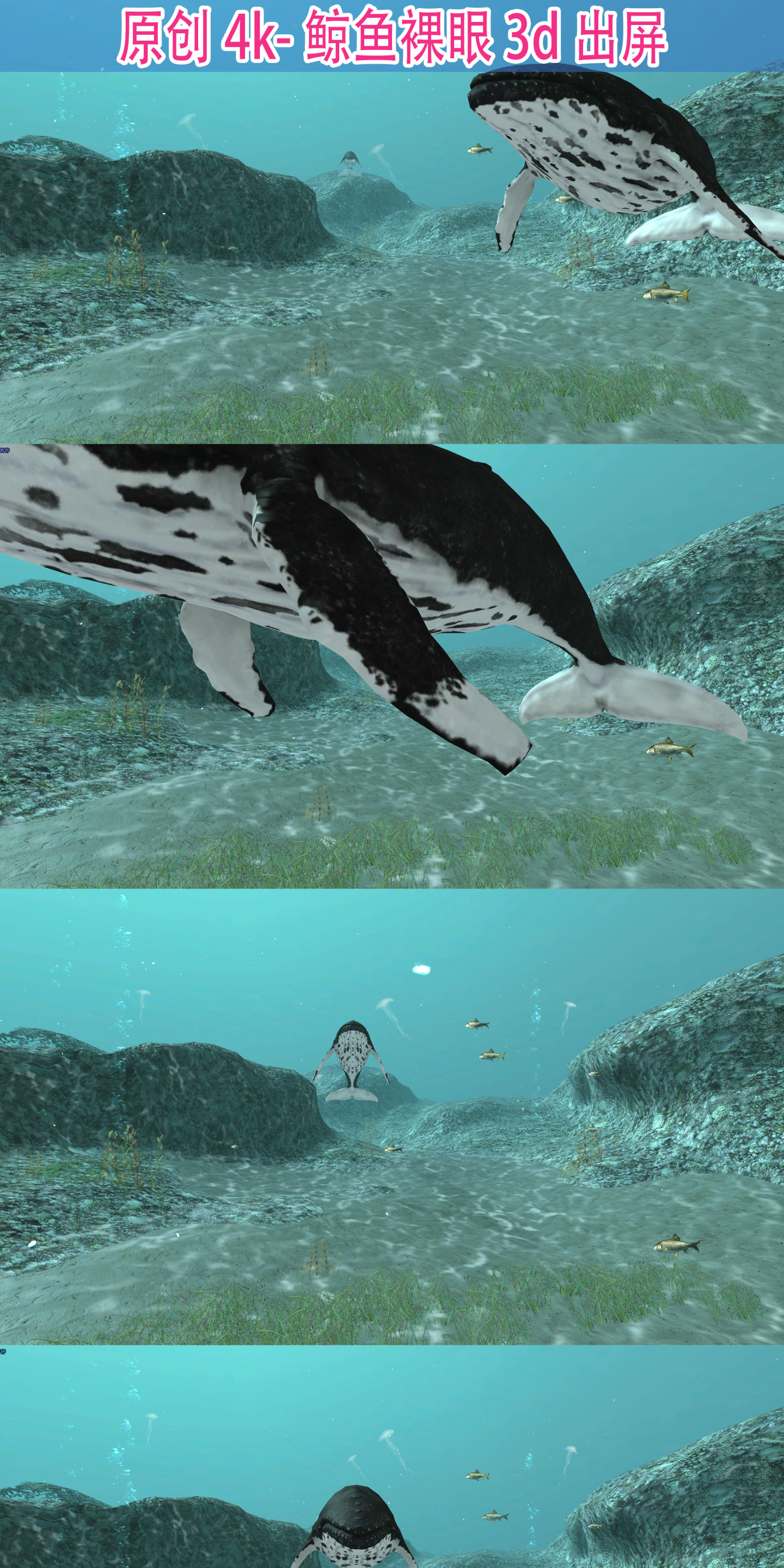 鲸鱼 鲲 裸眼3D出屏动画