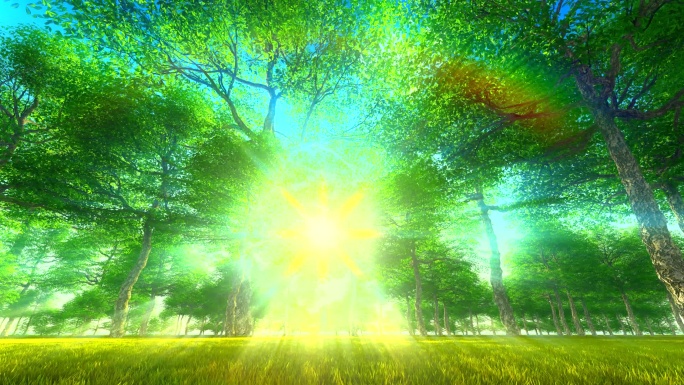 阳光森林树林环保绿色三维动画