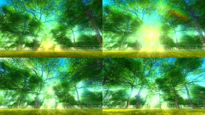 阳光森林树林环保绿色三维动画