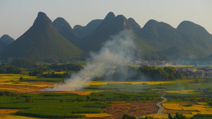 乡村 农田 烧秸秆