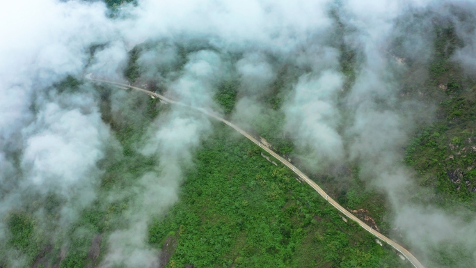 绿色云雾傍山唯美公路