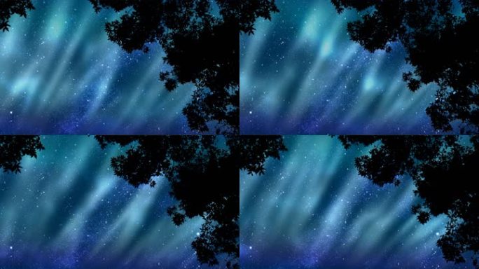 极光动画，在星空中，由合成的树木组成，在风中吹动